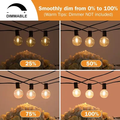 Guirlande lumineuse d'extérieur à ampoules globe – image 3