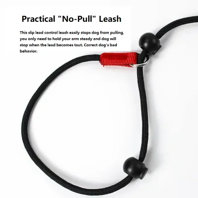 Laisse de dressage coulissante en nylon, 150 cm – image 3